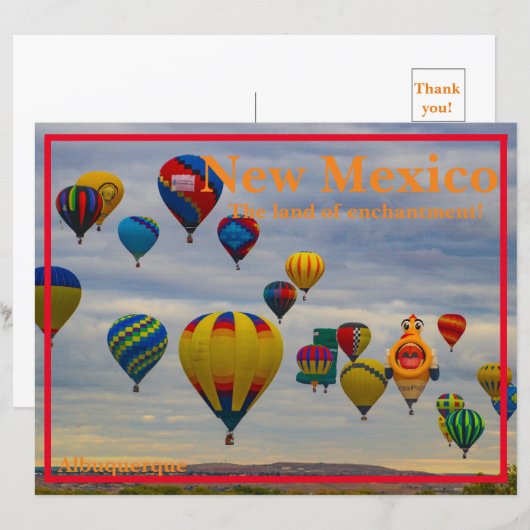 紙シート (正面/裏面)