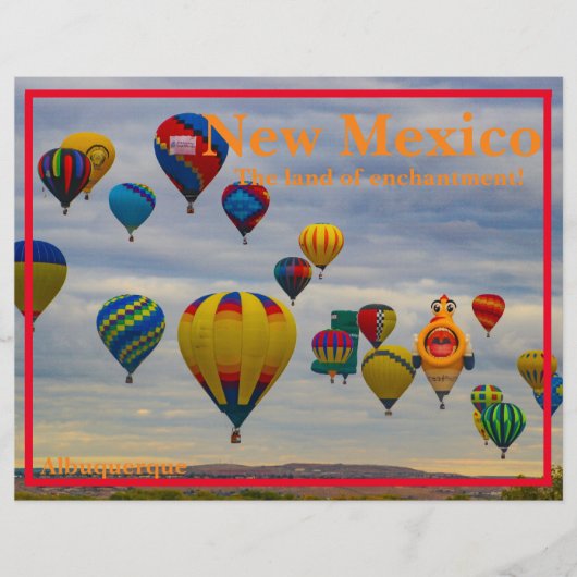 紙シート (正面)