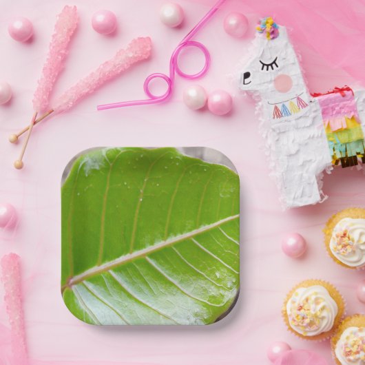 紙スクエアボウルとリーフデザイン ペーパープレート (パーティー)