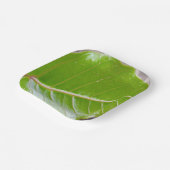 紙スクエアボウルとリーフデザイン ペーパープレート (傾斜あり)