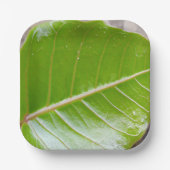 紙スクエアボウルとリーフデザイン ペーパープレート (正面)