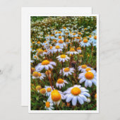 紙デイジー空白のカード シーズンカード (正面/裏面)