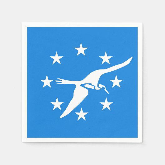 紙ナプキンとコーパスクリスティ国旗 スタンダードカクテルナプキン (正面)