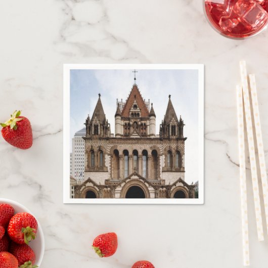 紙ナプキンス スタンダードカクテルナプキン (インサイチュ)