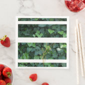 紙ナプキン (インサイチュ)