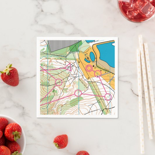 紙ナプキン – オリエンテーリングマップ スタンダードカクテルナプキン (インサイチュ)