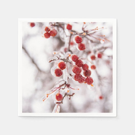 紙ナプキン スタンダードカクテルナプキン (正面)