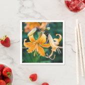 紙ナプキン スタンダードカクテルナプキン (インサイチュ)