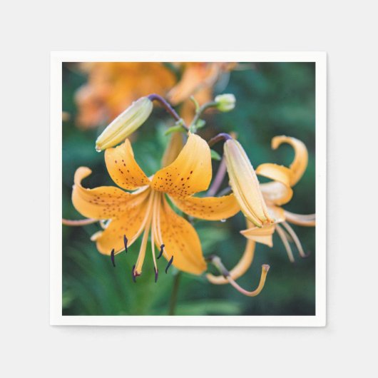 紙ナプキン スタンダードカクテルナプキン (正面)