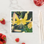 紙ナプキン スタンダードカクテルナプキン (インサイチュ)