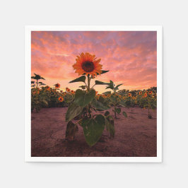 紙ナプキン スタンダードカクテルナプキン