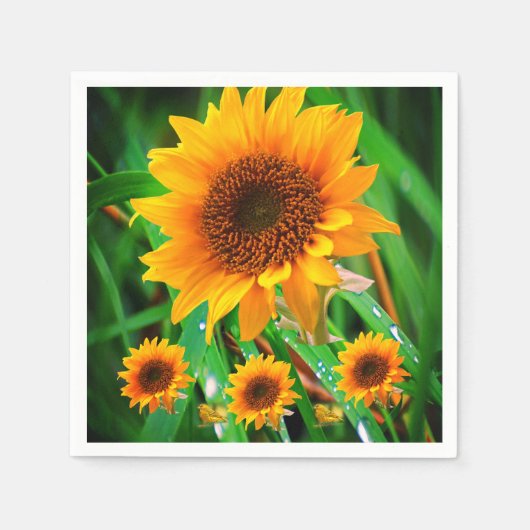 紙ナプキン スタンダードカクテルナプキン (正面)