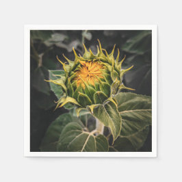 紙ナプキン スタンダードカクテルナプキン