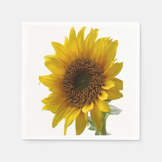 紙ナプキン スタンダードカクテルナプキン (正面)