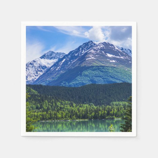 紙ナプキン スタンダードカクテルナプキン (正面)