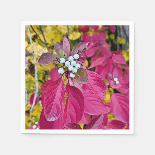 紙ナプキン スタンダードカクテルナプキン (正面)