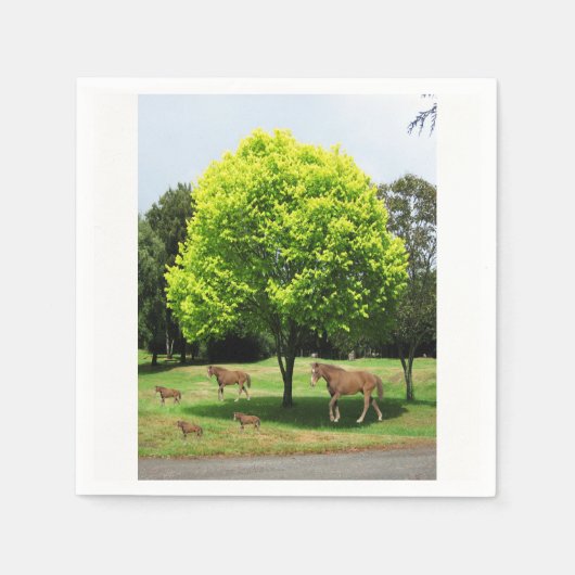 紙ナプキン スタンダードカクテルナプキン (正面)