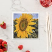 紙ナプキン スタンダードカクテルナプキン (インサイチュ)