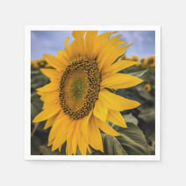 紙ナプキン スタンダードカクテルナプキン