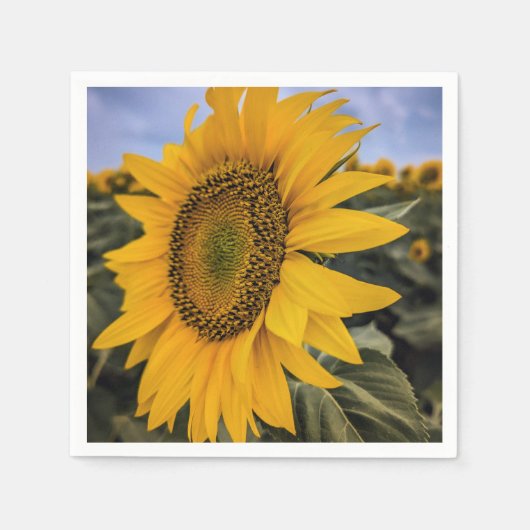 紙ナプキン スタンダードカクテルナプキン (正面)