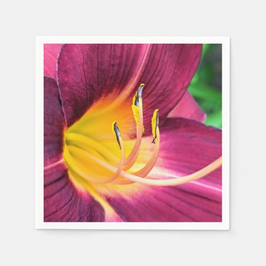 紙ナプキン スタンダードカクテルナプキン (正面)