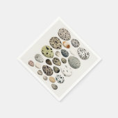 紙ナプキン：ヴィンテージ鳥卵図 スタンダードカクテルナプキン (角)