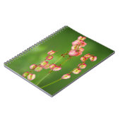 紙ハート(Rumex Woodii)、ウハランバ ノートブック (左側)