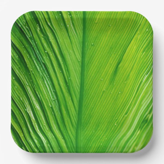 紙プレートとリーフデザイン ペーパープレート (正面)