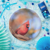 紙プレートと男性の北（鳥）ショウジョウコウカンチョウの写真 ペーパープレート (パーティー)