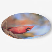 紙プレートと男性の北（鳥）ショウジョウコウカンチョウの写真 ペーパープレート (アングル)