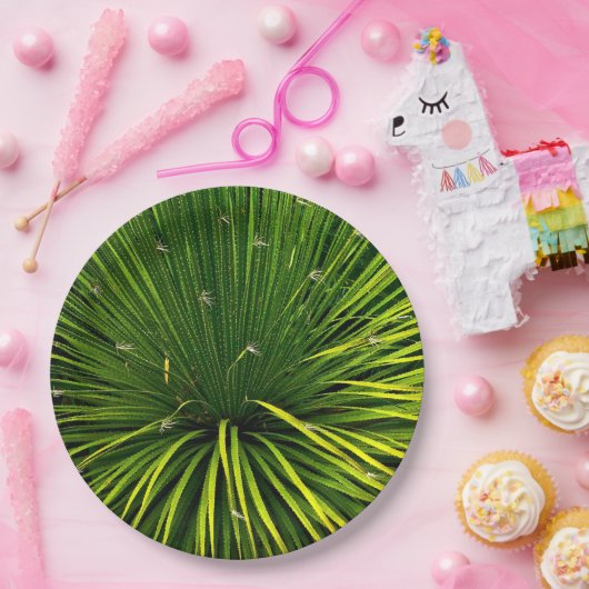 紙プレートと緑色植物体 ペーパープレート (パーティー)