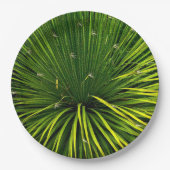 紙プレートと緑色植物体 ペーパープレート (正面)