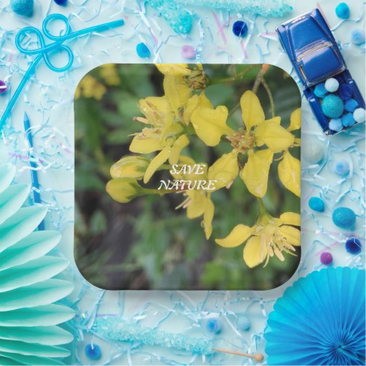 紙プレートと自然保護メッセージ ペーパープレート (パーティー)