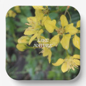 紙プレートと自然保護メッセージ ペーパープレート (正面)