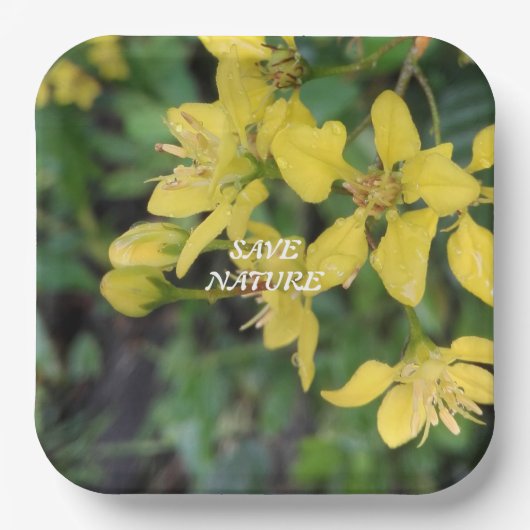 紙プレートと自然保護メッセージ ペーパープレート (正面)