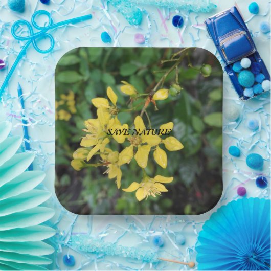 紙プレートと自然保護メッセージ ペーパープレート (パーティー)