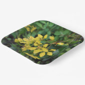 紙プレートと自然保護メッセージ ペーパープレート (傾斜あり)