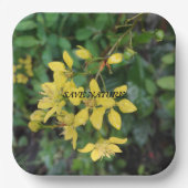 紙プレートと自然保護メッセージ ペーパープレート (正面)