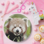 紙プレートのフォトレッドパンダ。パンダ·ルー。動物。 ペーパープレート (パーティー)