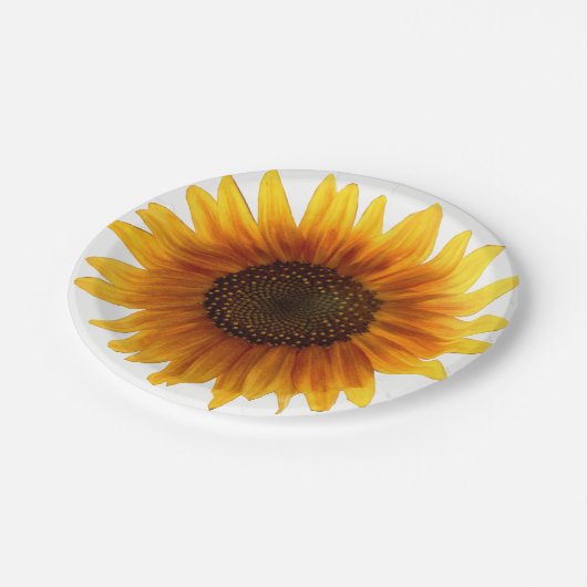 紙プレートひまわり ペーパープレート (アングル)