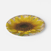 紙プレートひまわり ペーパープレート (アングル)