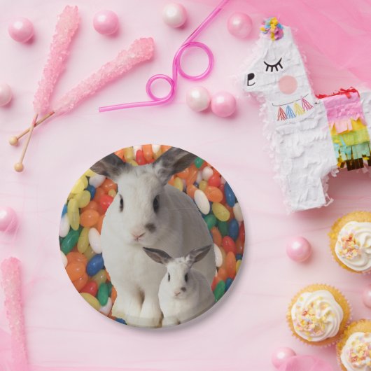 紙プレートイースター ペーパープレート (パーティー)