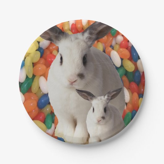 紙プレートイースター ペーパープレート (正面)