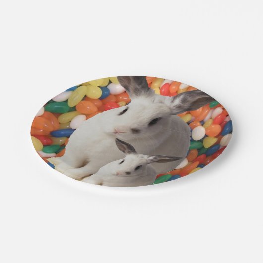 紙プレートイースター ペーパープレート (アングル)