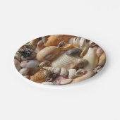 紙プレートシーシェル ペーパープレート (アングル)