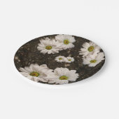 紙プレートデイジー ペーパープレート (アングル)