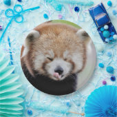 紙プレート写真レッドパンダ。パンダルークス。動物。 ペーパープレート (パーティー)