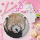 紙プレート写真レッドパンダ。パンダルークス。動物。 ペーパープレート (パーティー)