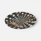 紙プレート恐竜 ペーパープレート (アングル)