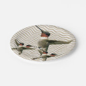 紙プレート鳥 ペーパープレート (アングル)